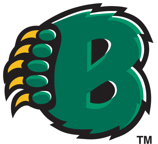 Baylor Bears 1997-2004 Alternate Logo v2 DIY iron on transfer (heat transfer)